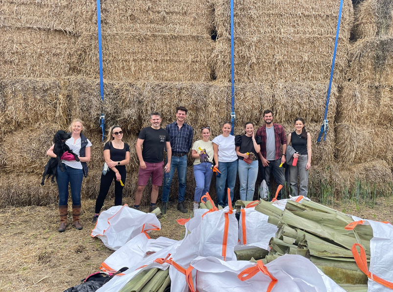 Screenshot 2025 06 16 084615